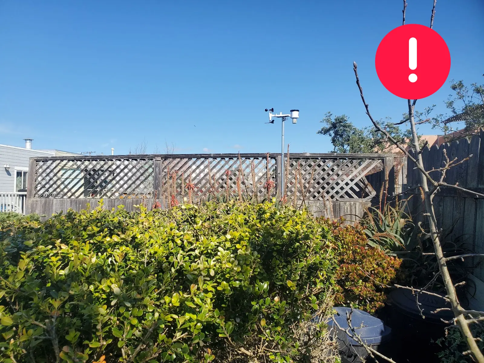 WeatherXM station mounted near a fence, bush and surrounding buildings